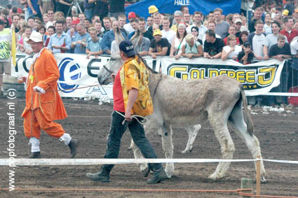 Zwarte Cross www-popfotograaf-nl4850