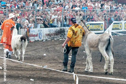 Zwarte Cross www-popfotograaf-nl4851