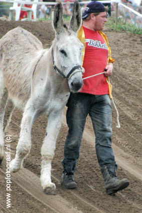 Zwarte Cross www-popfotograaf-nl4885