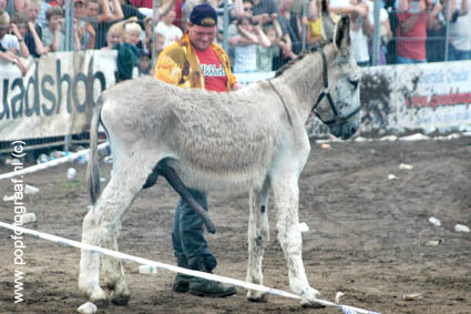 Zwarte Cross www-popfotograaf-nl4887